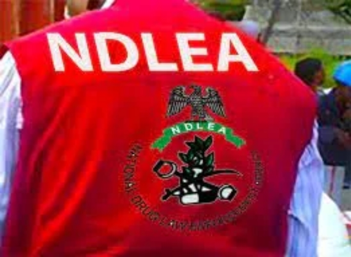 National Drug Law Enforcement Agency, NDLEA
