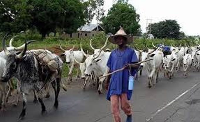 FG Ban Open Grazing