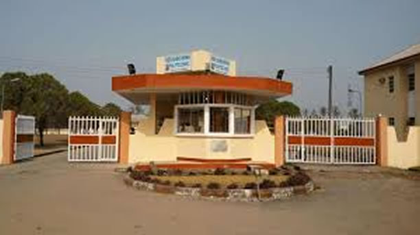 Ken Saro-Wiwa University