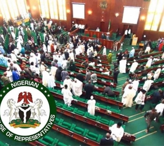 Nigerian House of Representatives