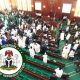 Nigerian House of Representatives