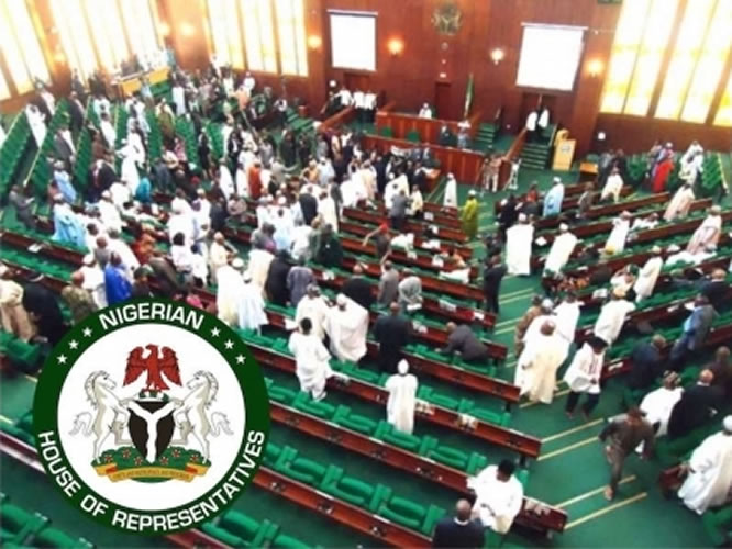Nigerian House of Representatives