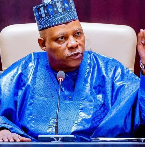 Vice President Kashim Shettima