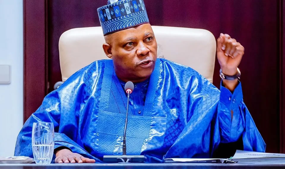 Vice President Kashim Shettima