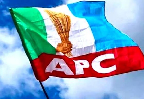 All Progressive Congress APC Flag