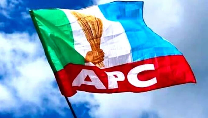 All Progressive Congress APC Flag