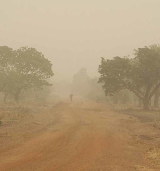 Harmattan