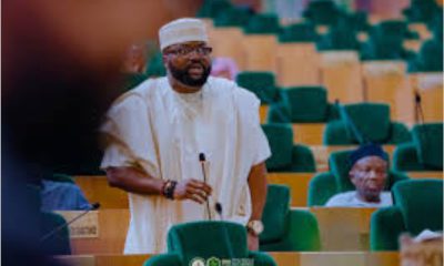 House spokesman, Hon. Akin Rotimi